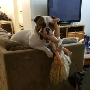 Meet your Posher, Richard